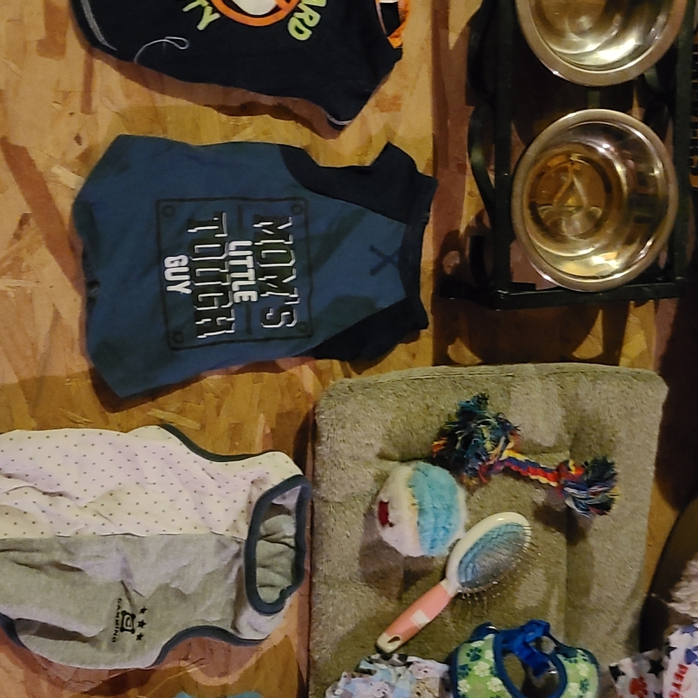 Dog Stuff ๐ - Picture 3 of 4